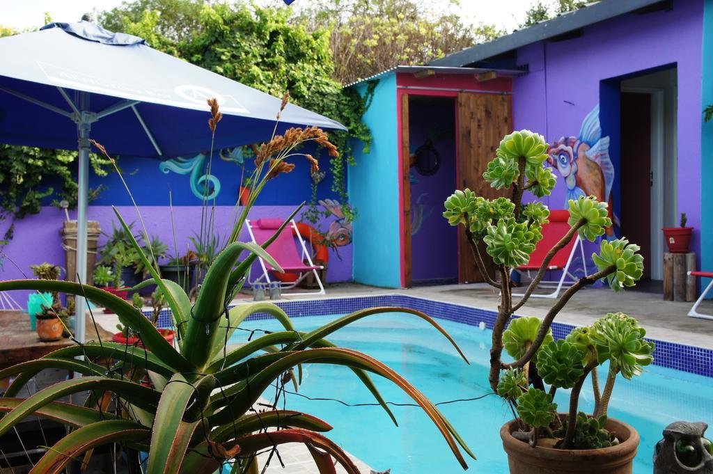 Cape Agulhas Backpackers Hostel Struisbaai Room photo