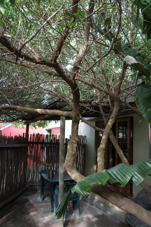 Cape Agulhas Backpackers Hostel Struisbaai Exterior photo