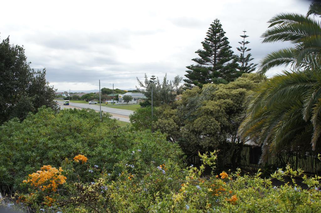 Cape Agulhas Backpackers Hostel Struisbaai Room photo